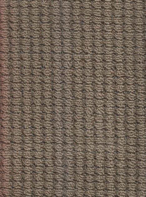 Thảm cuộn họa tiết E2